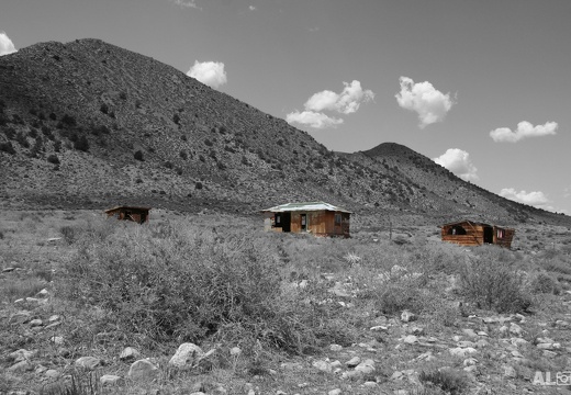Wasteland