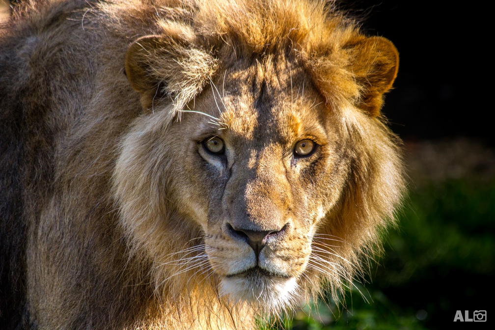 Hellabrunn_20131013_0201.jpg